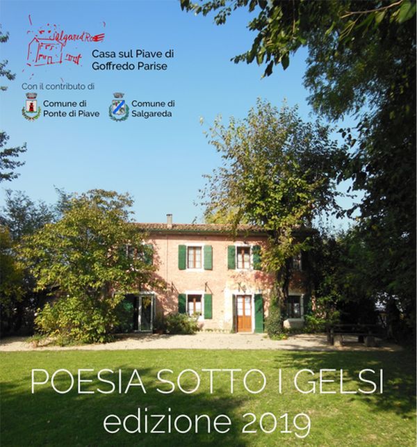 poesie sotto i gelsi copertina